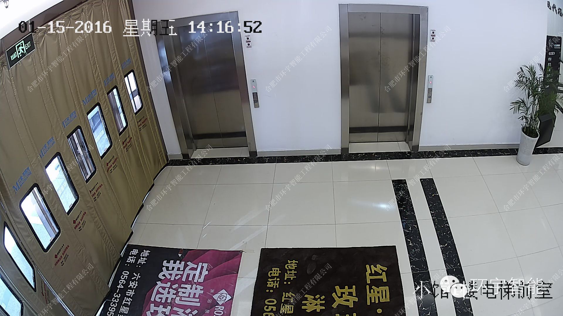 1733297268501449.jpg 6.jpg